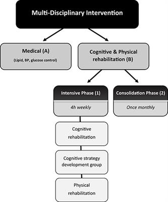 A Comprehensive Intervention for Promoting Successful Aging Amongst Older People With Diabetes With Below-Normal Cognitive Function—A Feasibility Study